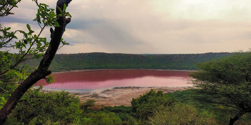 Scenic view of landscape against sky