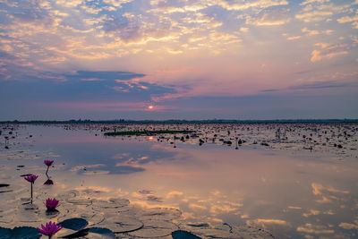 Scenic view of sea against sky during sunset