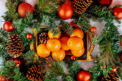 Fruits and christmas tree