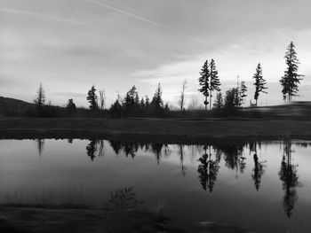 Reflection of clouds in calm lake