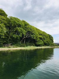 Scenic view of lake by trees against sky