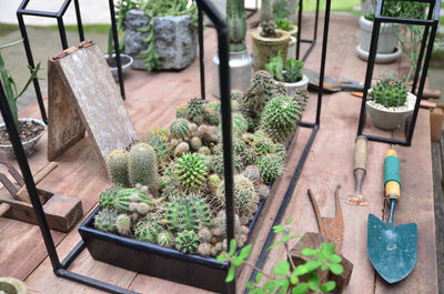 High angle view of potted plants in greenhouse