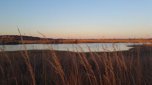 Scenic view of calm lake at sunset