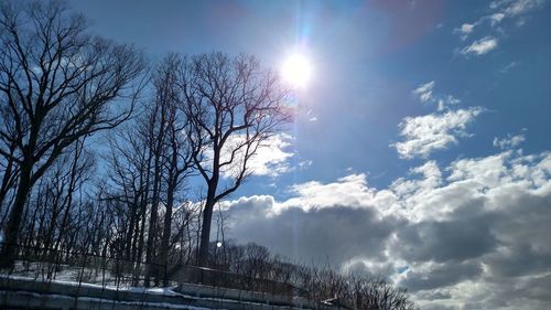 Bare trees against sky during winter