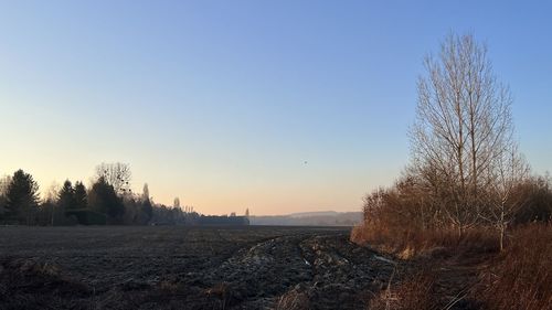 sky