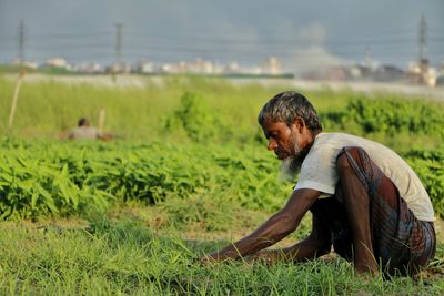 Man in farm