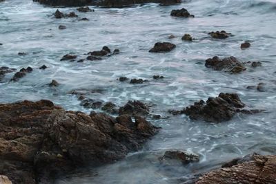 Scenic view of sea