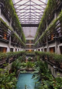 Plants growing on building by lake