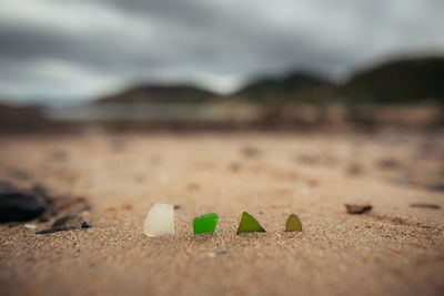 Close-up of toy on sand