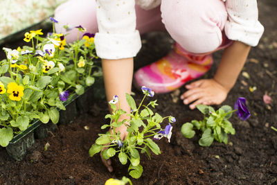 Low section of woman standing by flowering plants