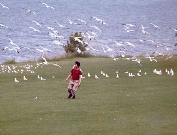 Woman standing on grassy field