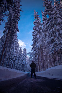 Rear view of person walking on snow covered road