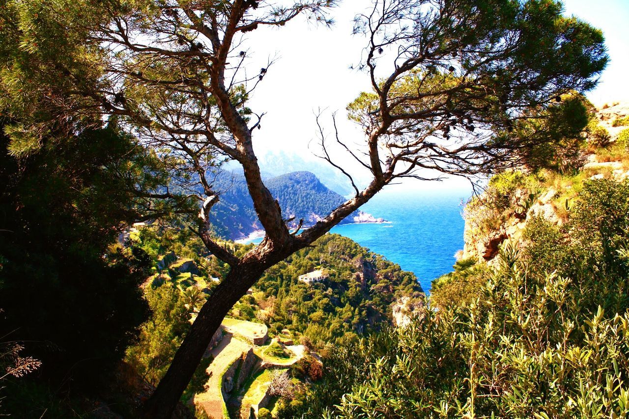 Palma de Mallorca