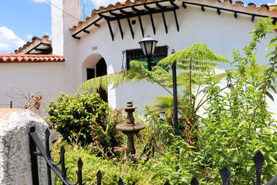 Plants by building against sky