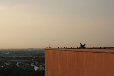 Birds perching on buildings in city against clear sky
