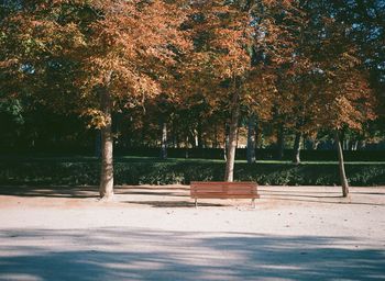 Empty bench in park