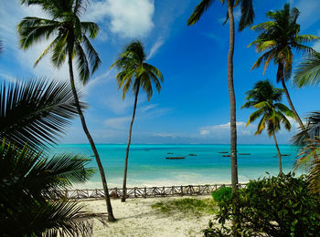 Palm trees by swimming pool against sky