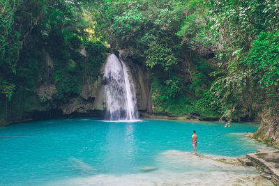 Man looking waterfall in forest