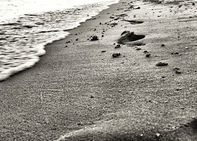 View of sandy beach