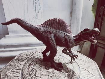 animal representation