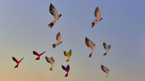 Low angle view of birds flying in sky