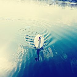 People surfing in sea