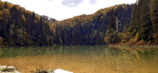 Scenic view of lake by trees against sky