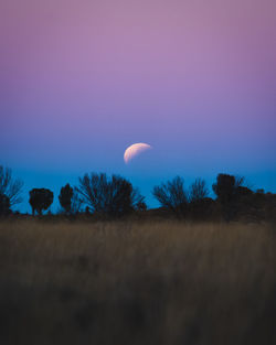 Scenic view of field against clear sky at night