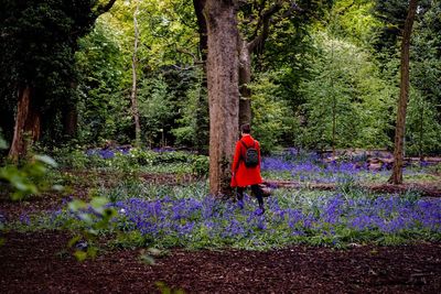 Rear view of man walking in forest