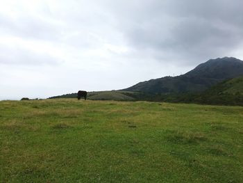 Scenic view of grassy field against cloudy sky