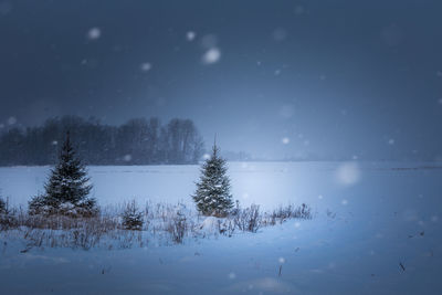 A beautiful, dark winter scenery while snowing. bright white snowflakes.