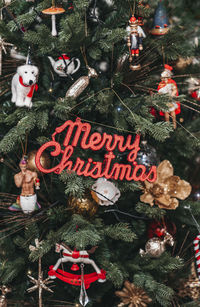 Close-up of christmas decorations on tree