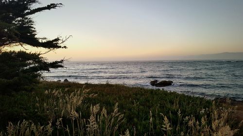 Scenic view of calm sea at sunset