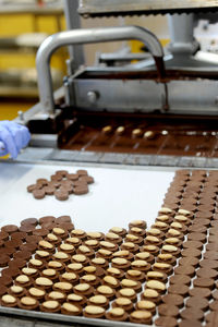 Worker puts almond on chocolates at the chocolate factory