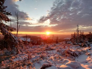 Snow covered land during sunset