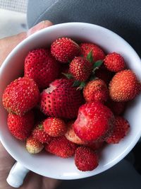 High angle view of strawberries