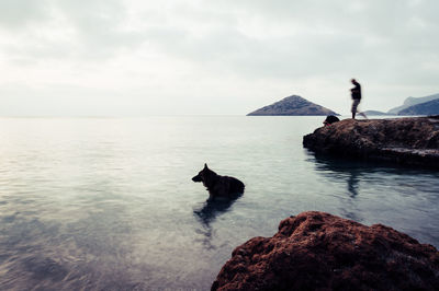 Scenic view of rock formation in sea against sky