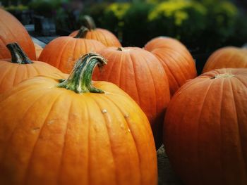 Close-up of pumpkins for sale at market