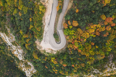 Aerial view of a winding road from a high mountain pass through a dense colorful autumn forest.