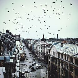 High angle view of birds flying over city