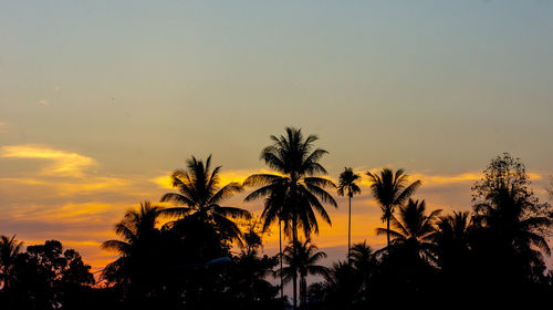 Silhouette palm trees against romantic sky at sunset