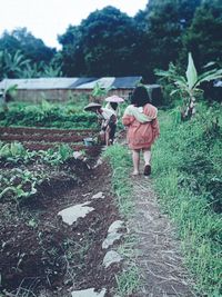 Rear view of people walking on land