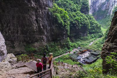 People on rock by plants in forest