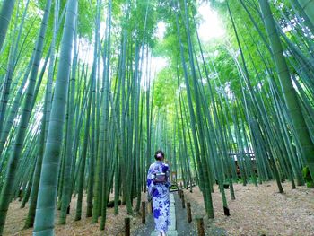 Full length of a woman in forest