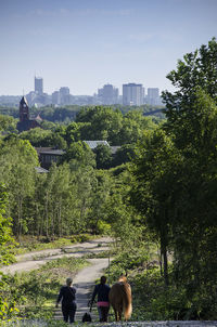 Rear view of people on plants in city against sky