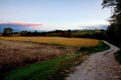 Road amidst field against sky