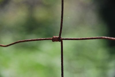 Close-up of barbed wire against fence