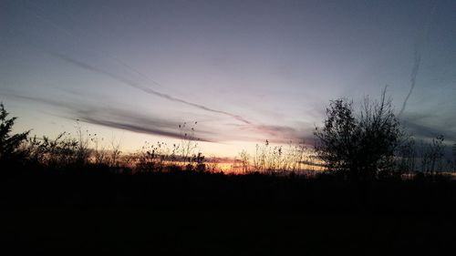 Silhouette trees against sky during sunset