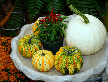 High angle view of pumpkins in container