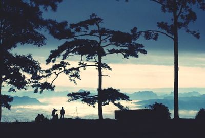 Silhouette trees against sky at sunset